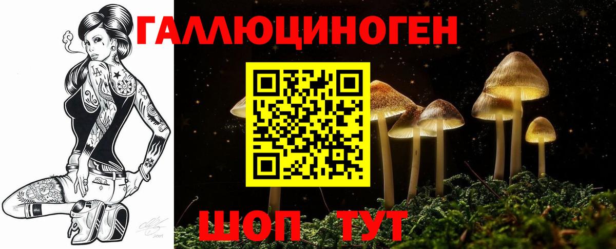 Галлюциногенные грибы Magic Shrooms  Вход с VPN  где продают   Гатчина  Псилоцибиновые грибы прущие грибы 